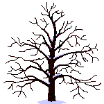 albero-immagine-animata-lenta