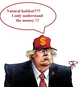 Trump capisce solo il denaro
