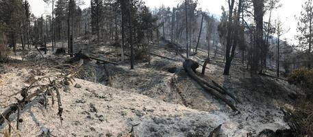 Il bosco dopo l'incendio che ha distrutto ettari di vegetazione sul Monte Morrone, Sulmona 30 agosto 2017 ANSA/ CLAUDIO LATTANZIO